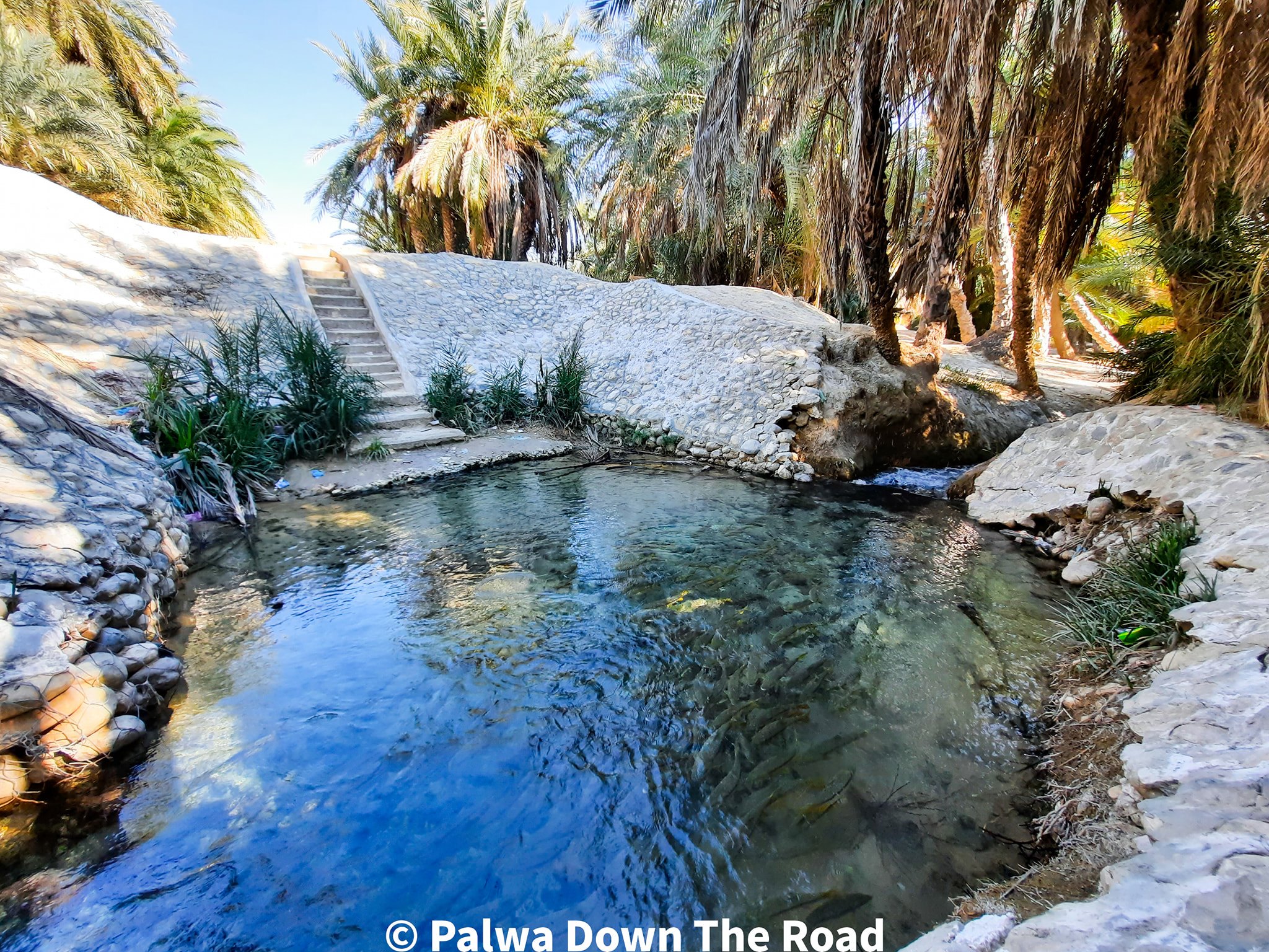 چھتل شاہ نورانی